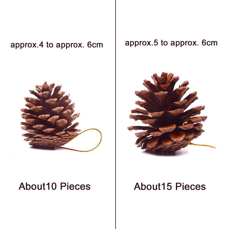 Whaline 25 Pcs 1.6-2.4 Inches Christmas Pine Cones Decoration with String, Natural Rustic Pinecones Bulk Ornaments for Crafting for Home Accent Decor, Fall Thanksgiving Tree Decoration - Image 2
